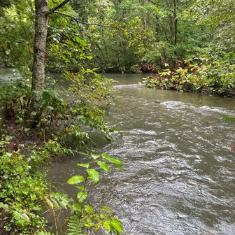 沢沿いに歩くのが気持ちいい