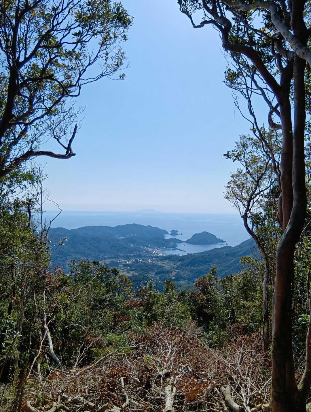 とにかく海が青い😆