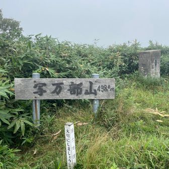 登頂🙌ガス💦