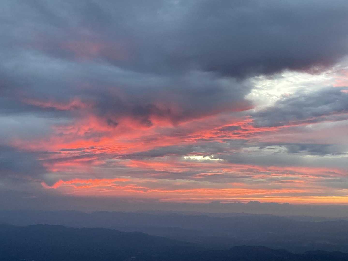 大船山 往復コースの写真