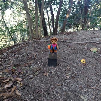 大沢山山頂。ここまでの道のりは大変でした。滑落するじゃないかと思うくらい…ここは最初で最後かな。