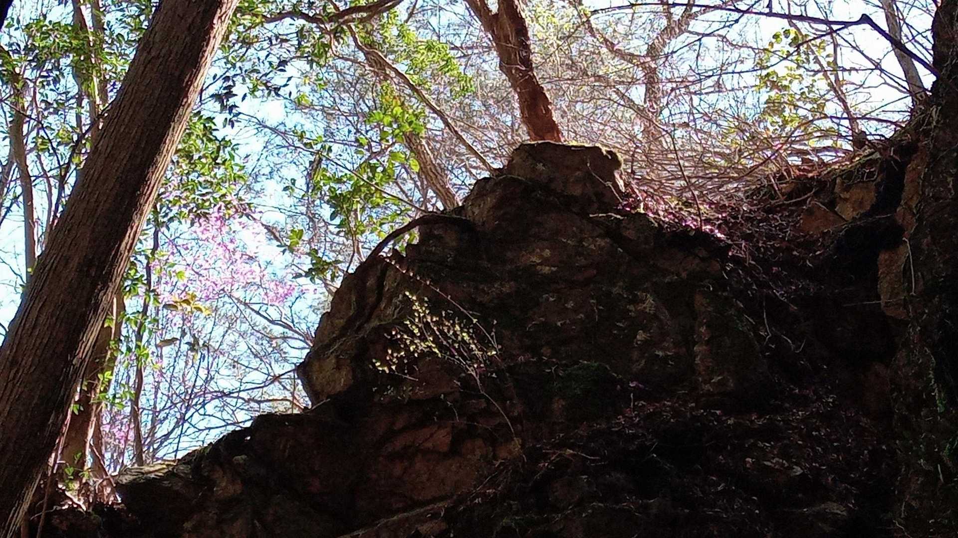 わかるかな？🌸