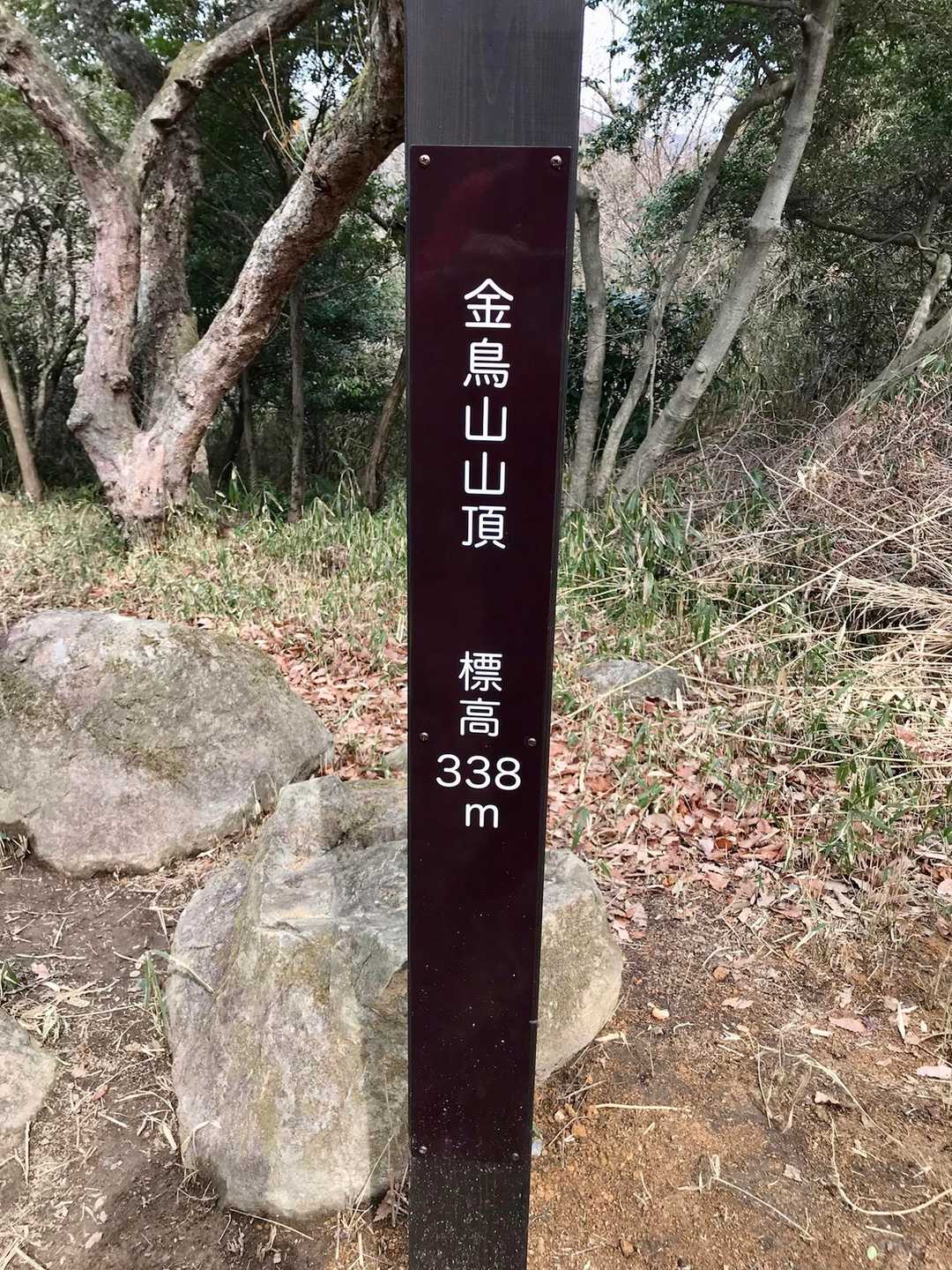 山頂到着。三角点はありません。