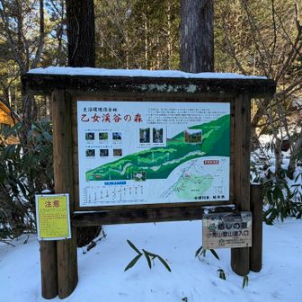 橋を渡るとすぐ案内板がありました