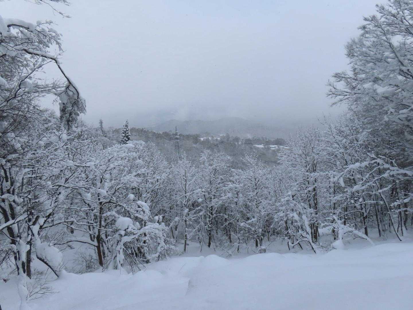 大平口-白鷹山 往復コースの写真