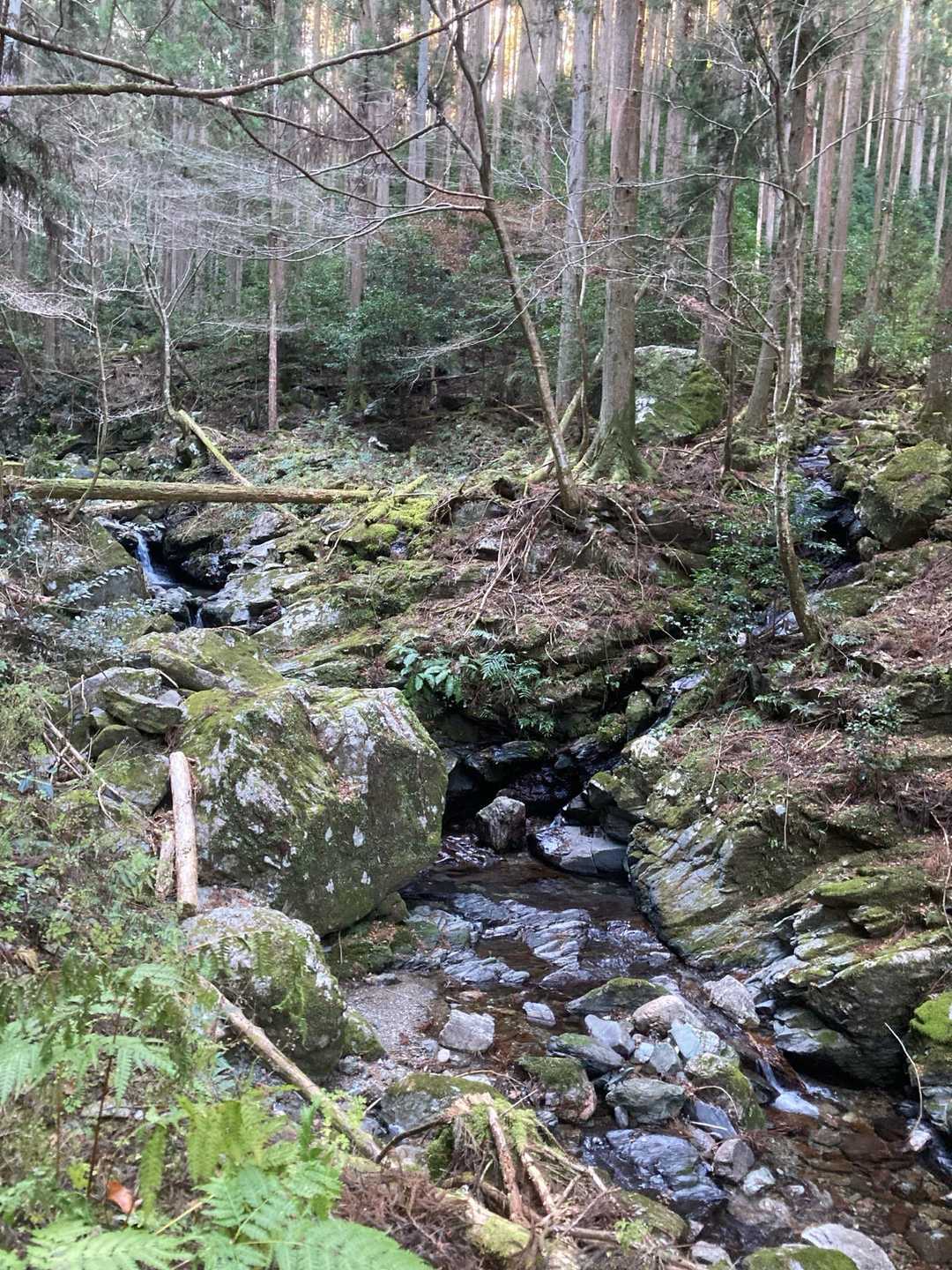 野原コース登山口-七洞岳 往復コースの写真