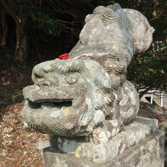 まこっち