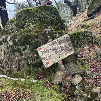 ツノ🫎なのんですが…
一度行った事あるので…   …🤔　往復↔️で45分ほど、と　なので
今回は回避しました