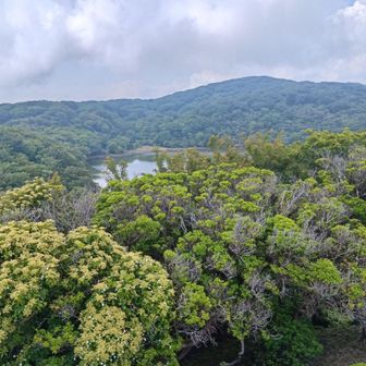 展望台から八丁池！
