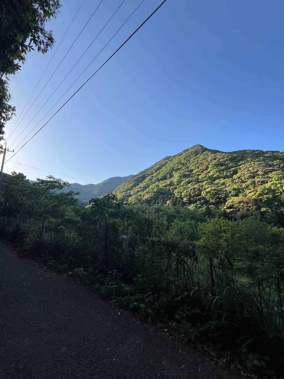 八郎岳登山口-八郎岳-小八郎岳-千々峠-佐敷岳-松尾岳-松 周回コースの写真