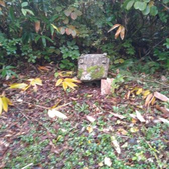 蔵王神社に到着