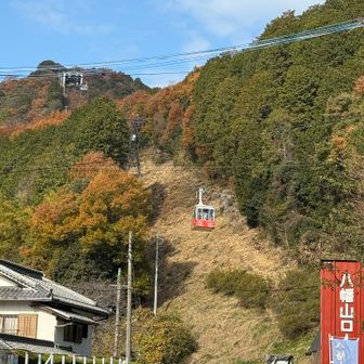 🚡乗らないよっ