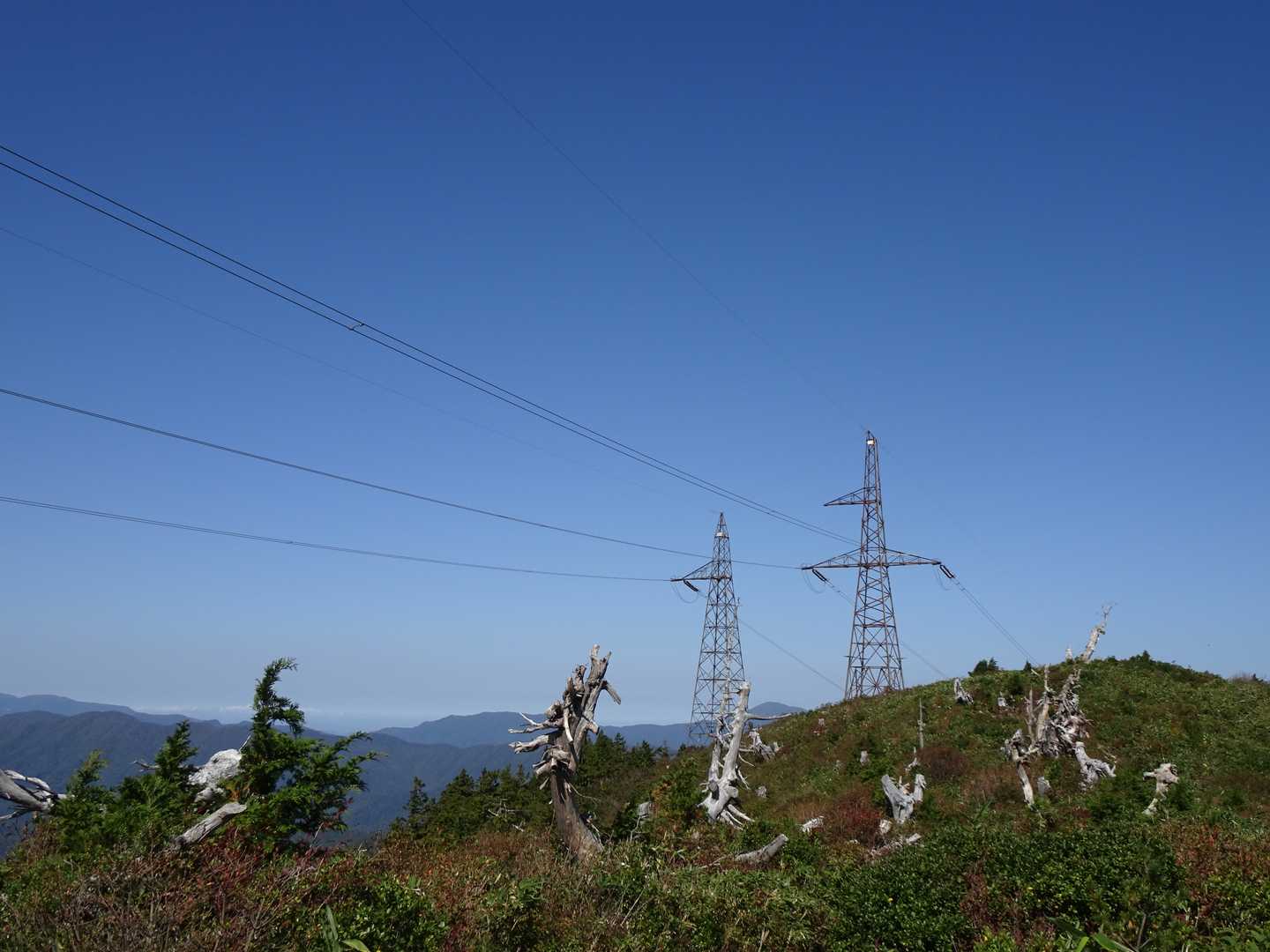 平家岳 往復コースの写真