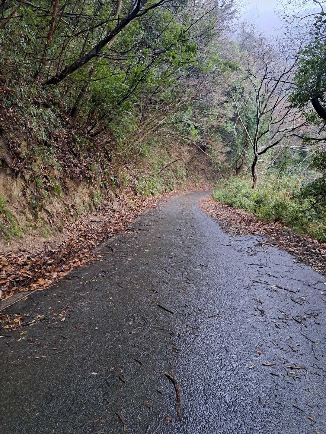 さあ、地道に舗装路歩きです😅