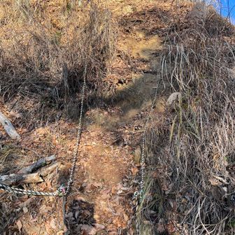 と思ったら深沢峠ゲートの脇から登るみたいで
トレランの方に教えてもらいました😅