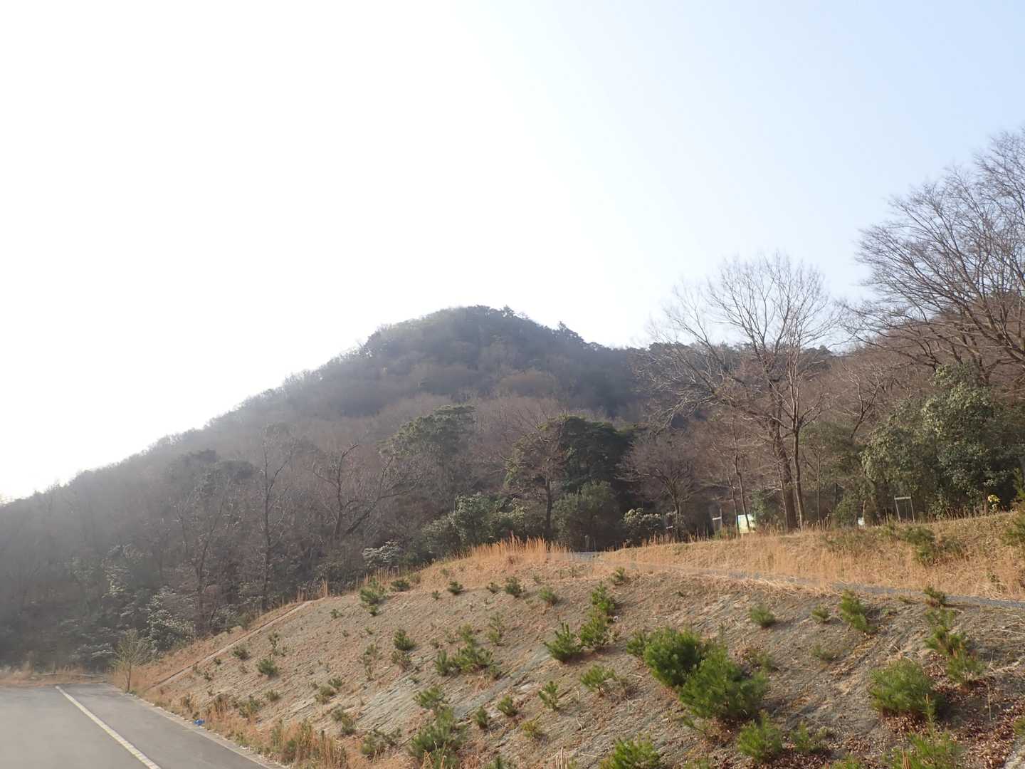 目指す山頂かな