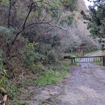 水越まで降りてきました