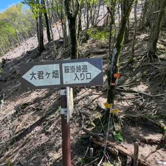 鞍掛峠