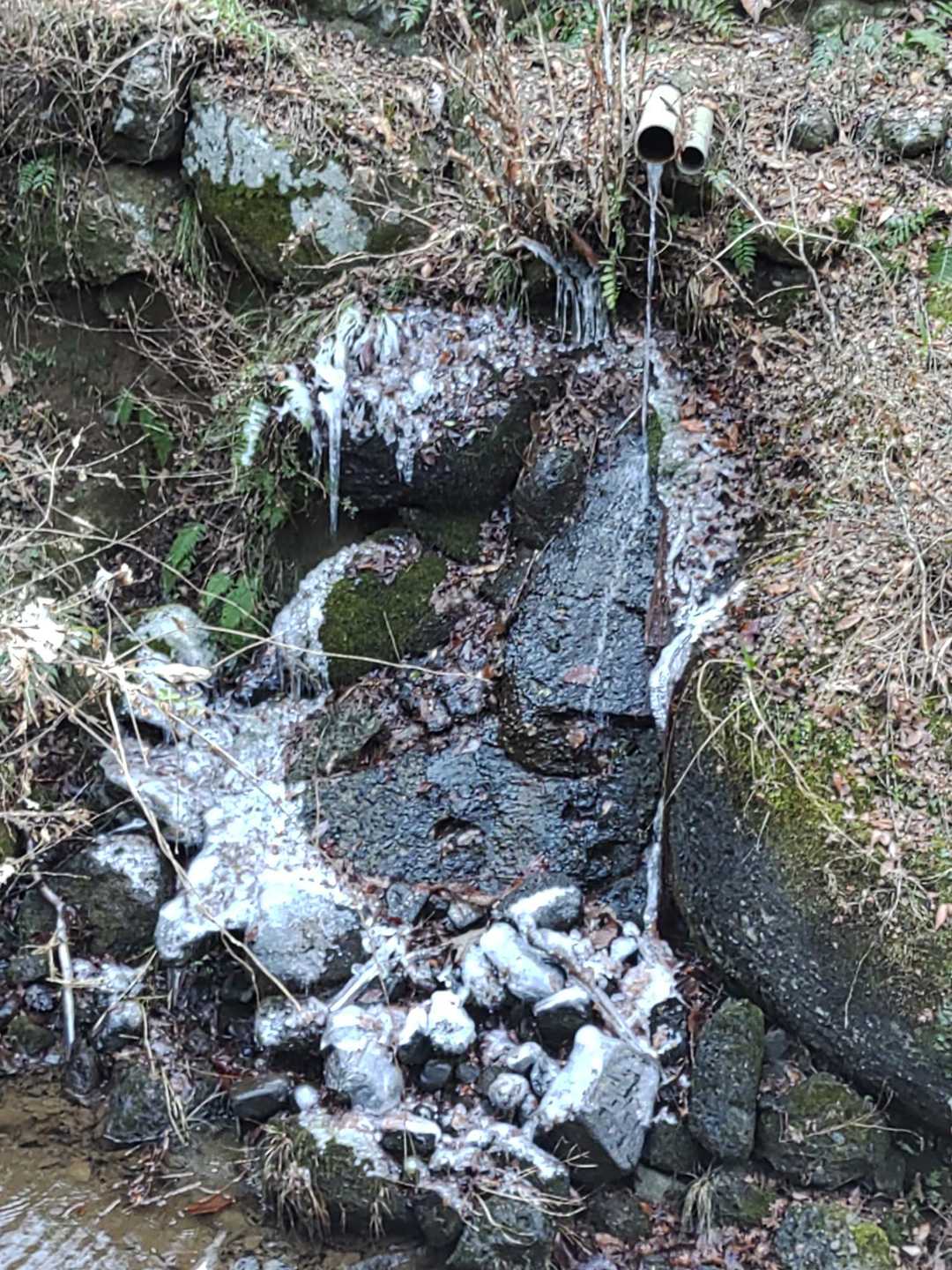 氷爆とまではいかないですが、凍るほど冷え込むようです🥶
