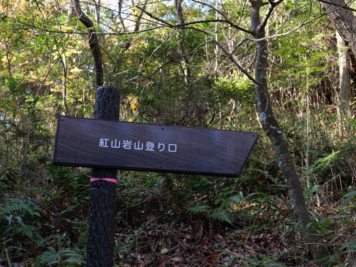 ここまで激下り↓