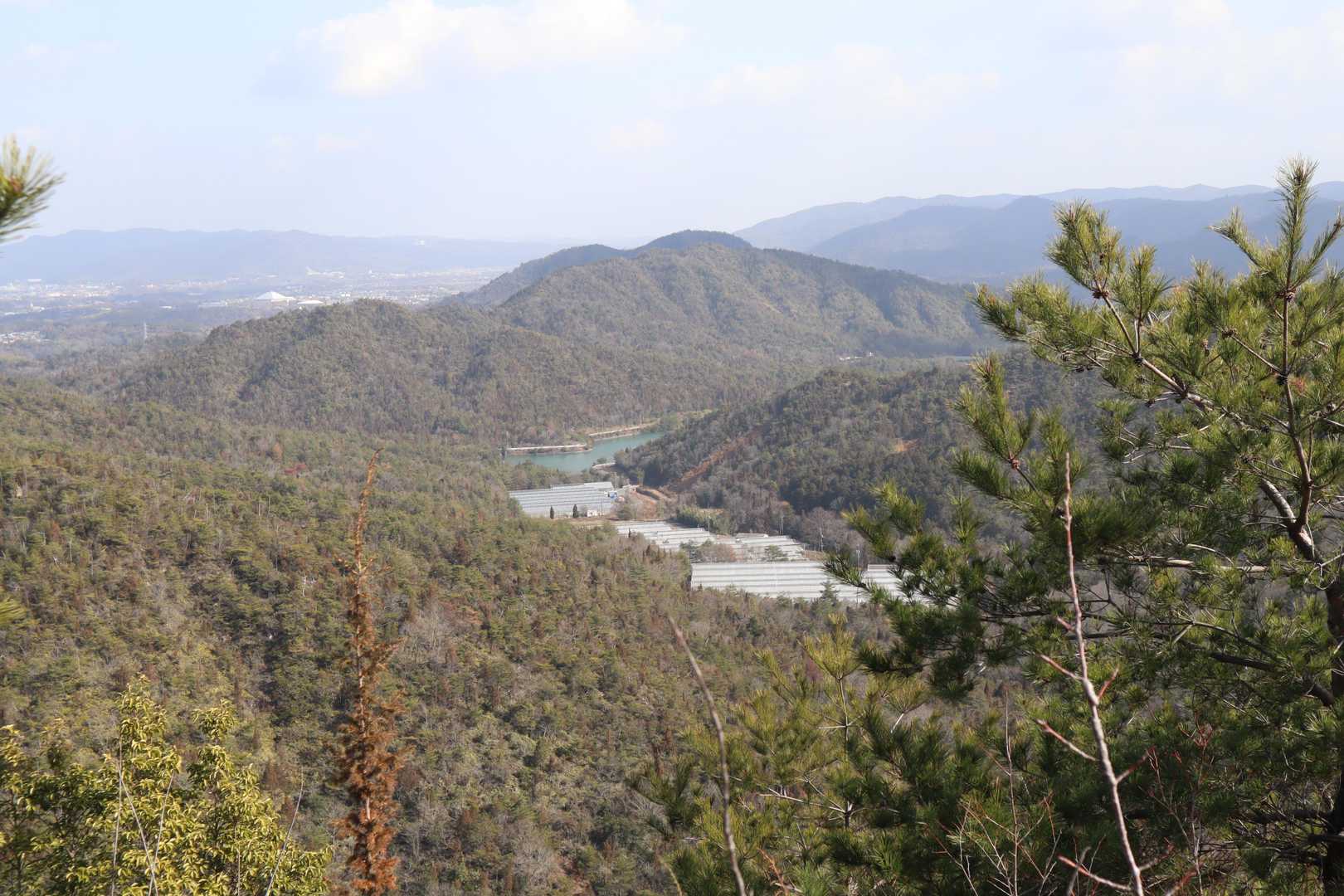 「バラ園」方向に下山します
下りはなだらかで歩きやすいです