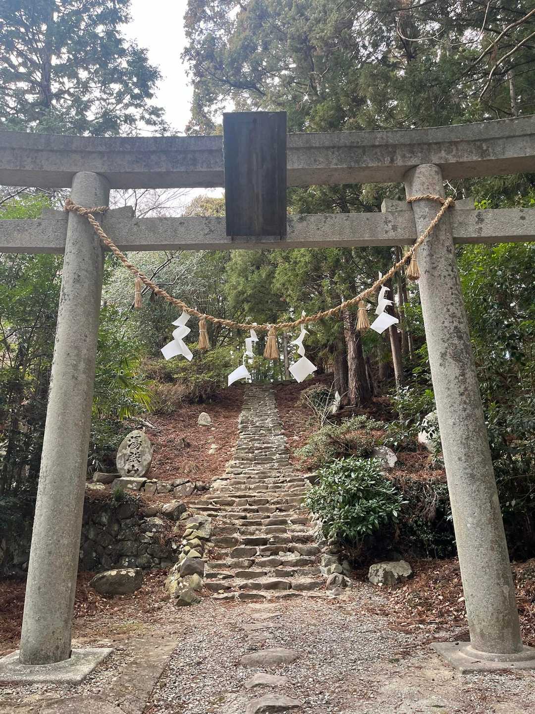 ご無沙汰してます。
今年もどうぞ良しなに