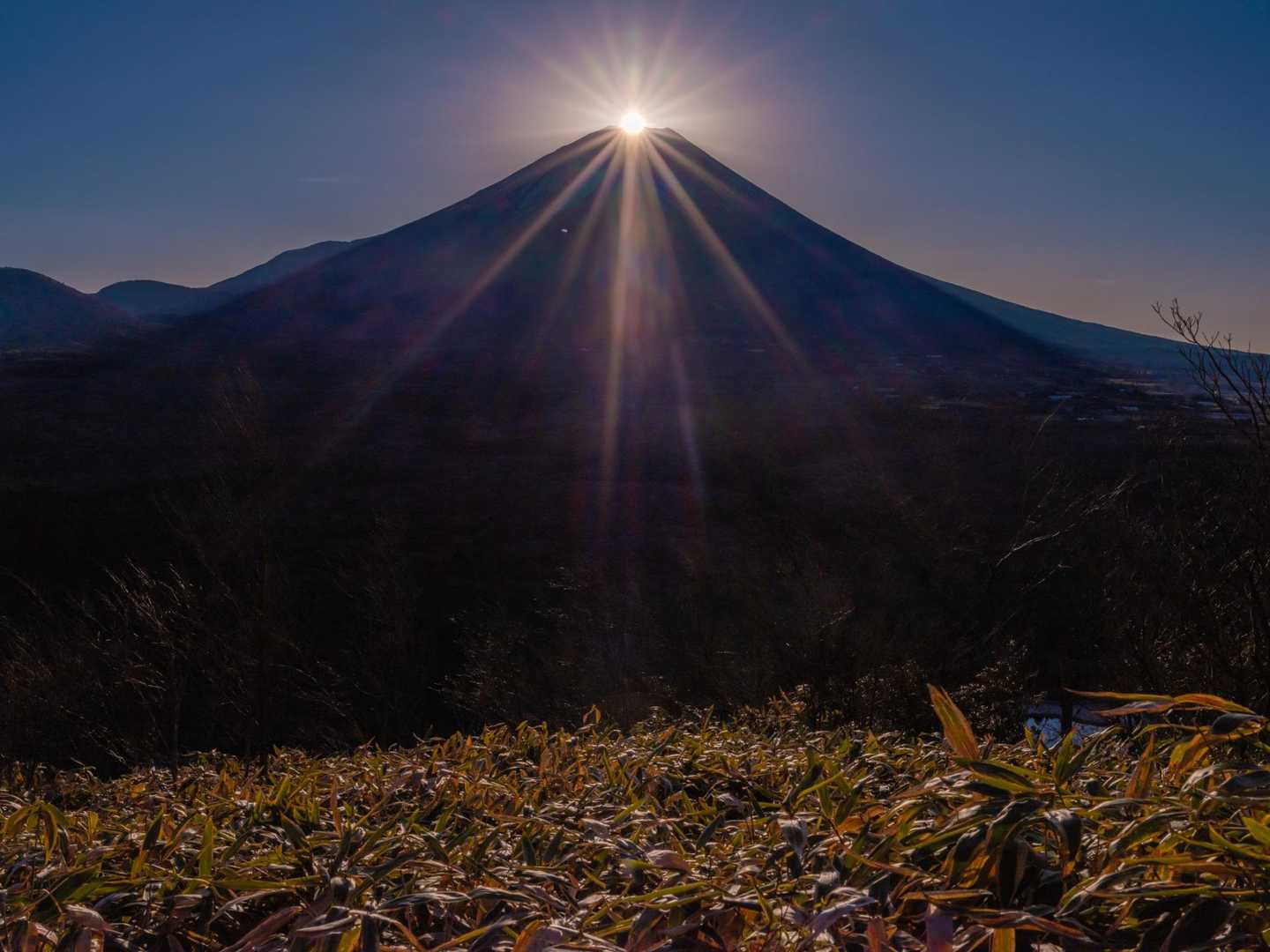 本栖湖キャンプ場-竜ヶ岳 周回コースの写真