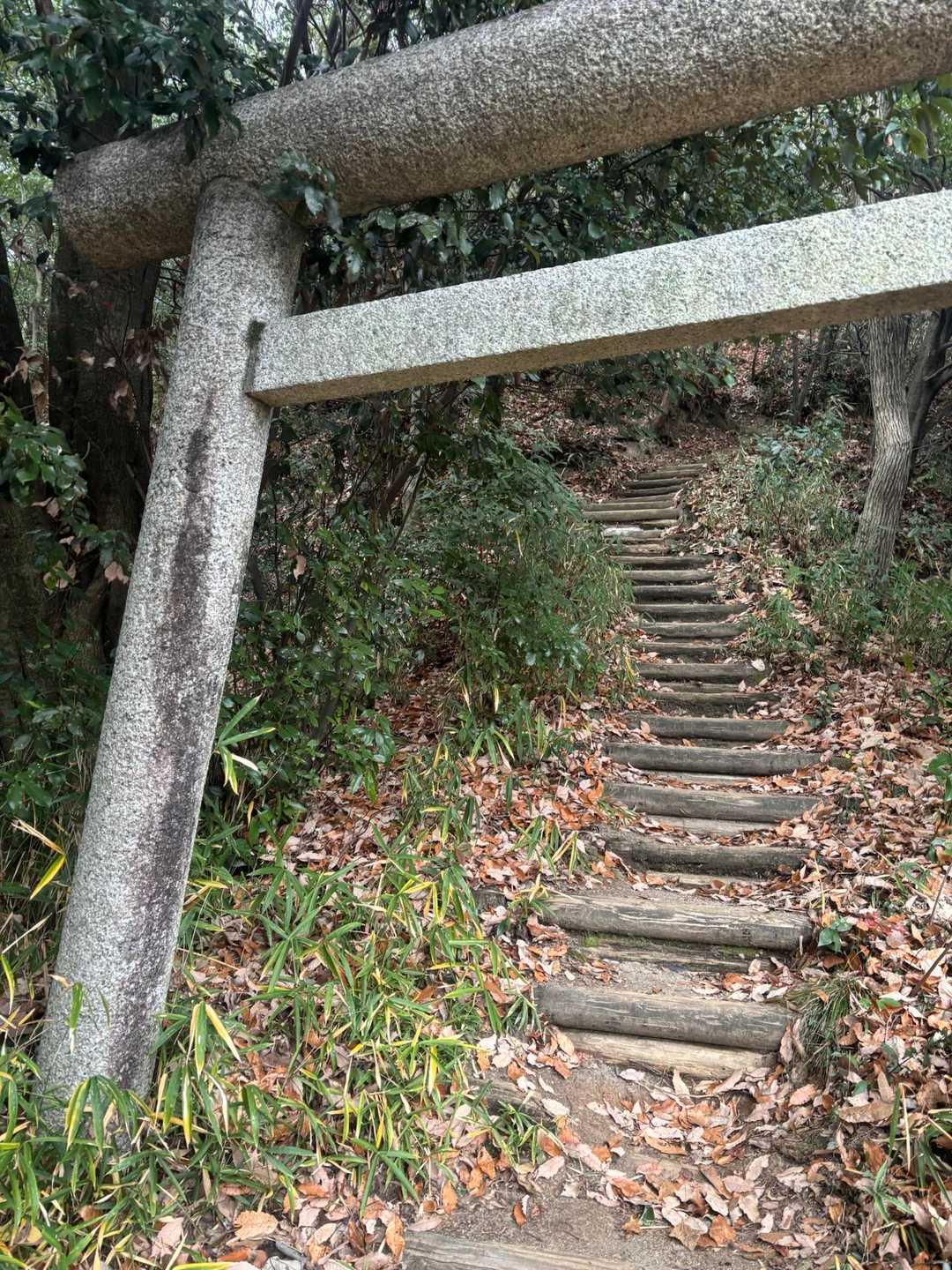 鳥居をくぐると