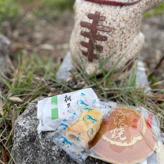 遠征の楽しみ
行動食はご当地のパーキングでゲットした
山口の巌流焼、ちくわ
広島の桐葉菓
今回はちくわが優勝🥇塩味が良い〜
