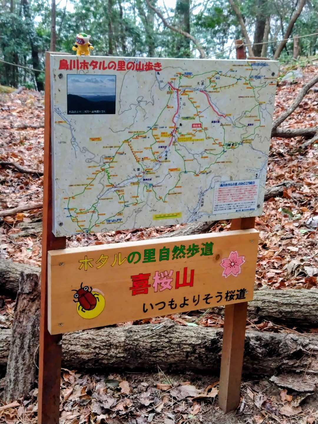 喜桜山