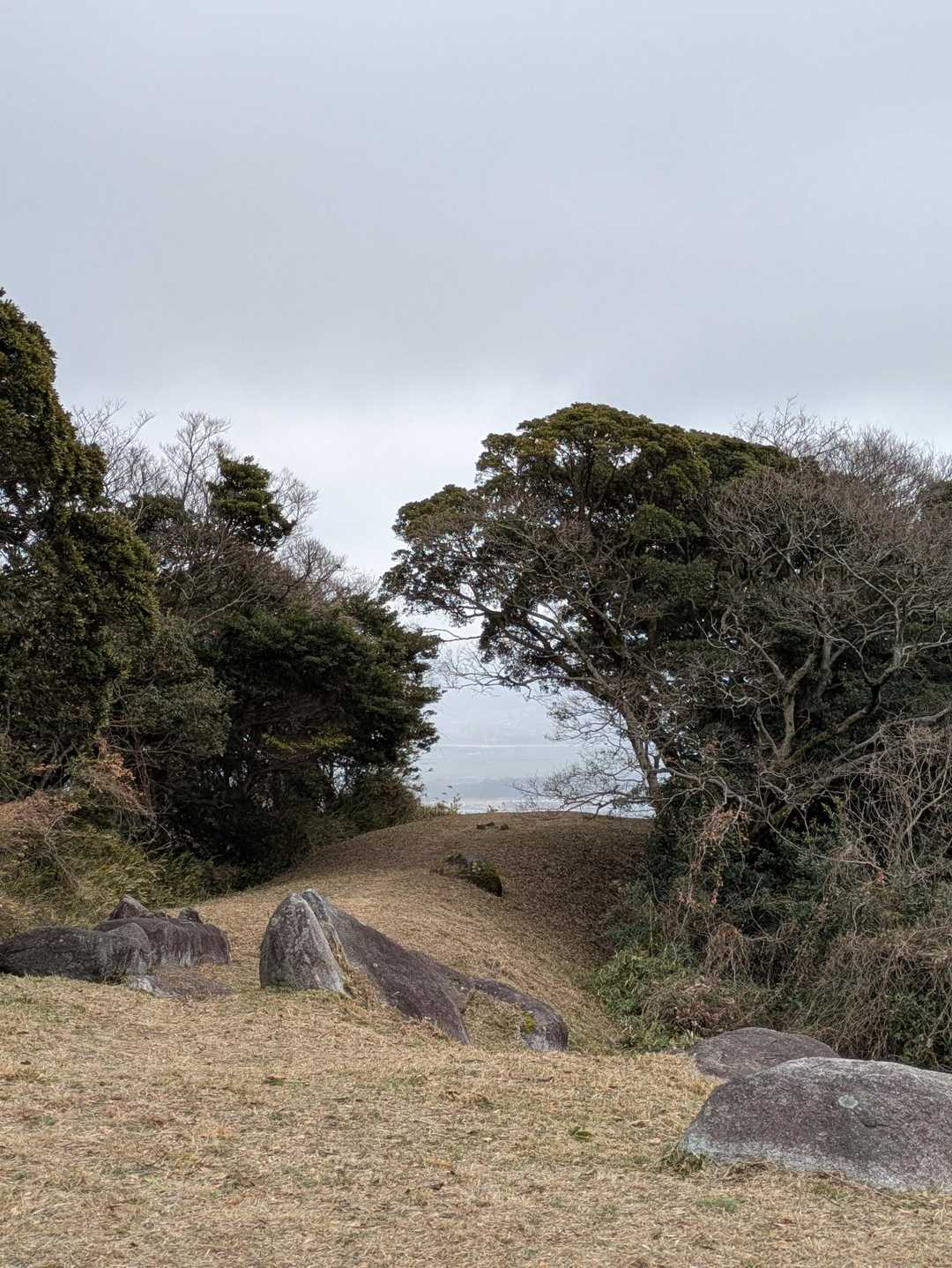 鷹取山 周回コースの写真
