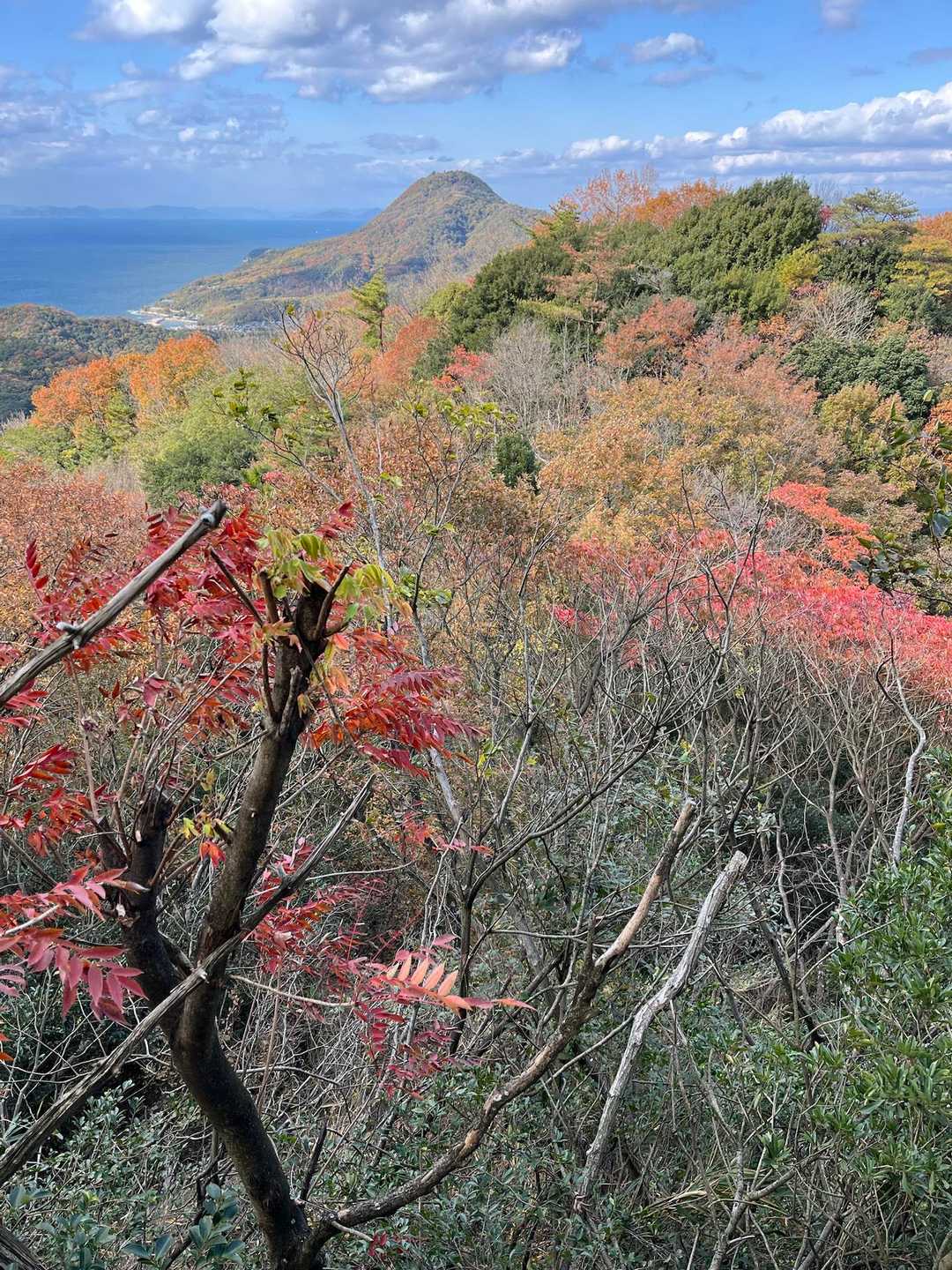お次は立石山