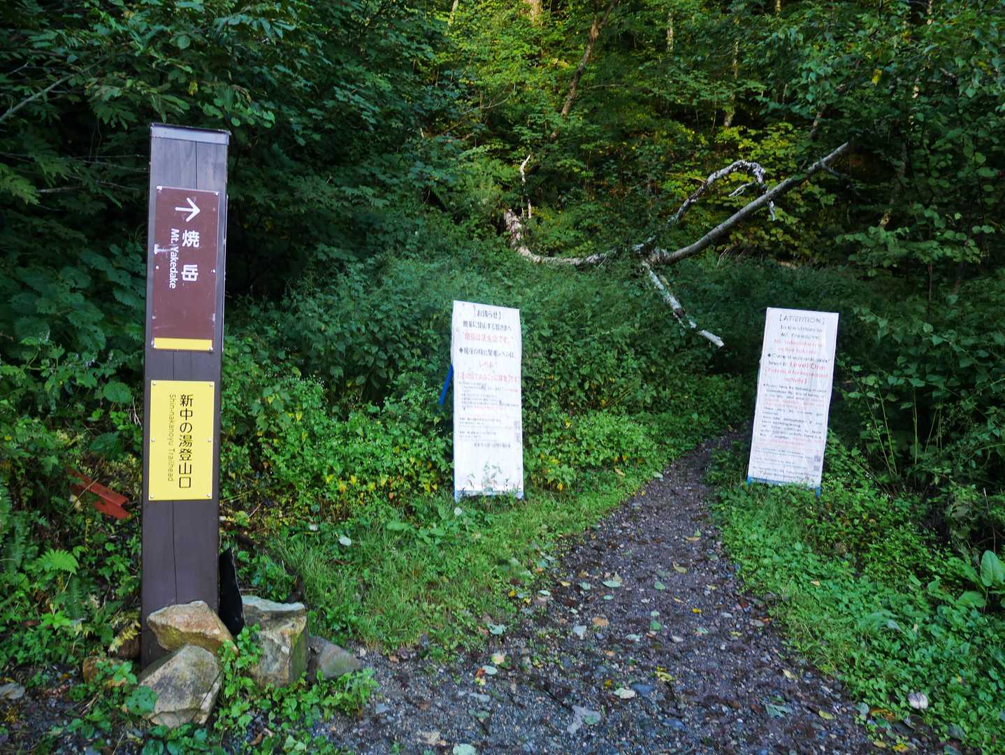 宿泊した旅館から登山開始。この登山口まで標高差80ｍで10分くらいかかった😓