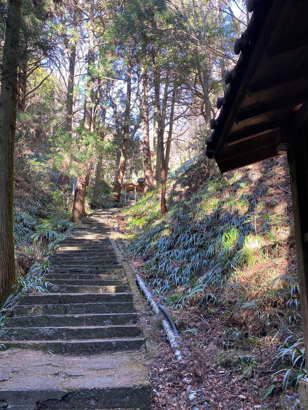 しょっぱなからの階段地獄