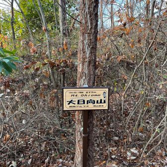 初ピークなので撮りました