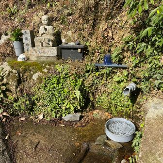 ここは湧水‼️いただきました。