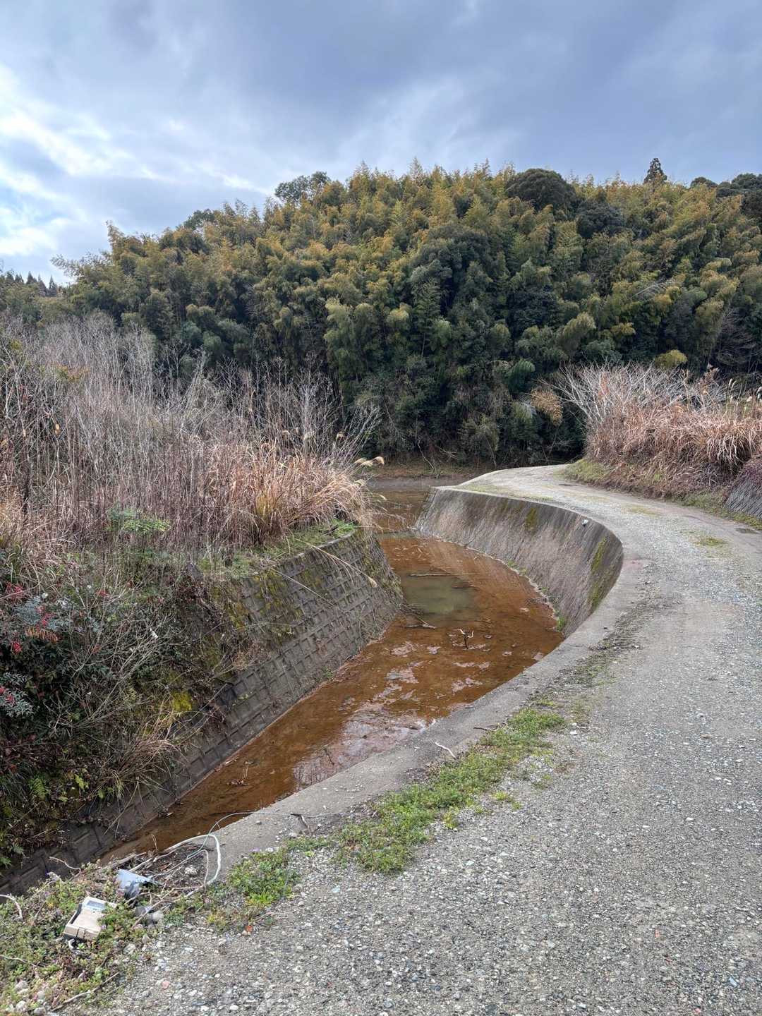 里山の風景をのんびり歩きながら、カワラヒワの夫婦？を観察してたら、この川でキセキレイを発見🧐
初めてちゃんと見れたので嬉しい😊
さて、次の山に移動しましょう♪
