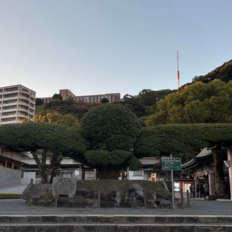 照國神社⛩️からスタート▶️
時間が遅く御朱印は間に合わず🥹

何かをイメージした剪定だと思うのですが、私にはオルフェンズのモビルアーマーに、、、
（山ネタから外れ失礼しました）