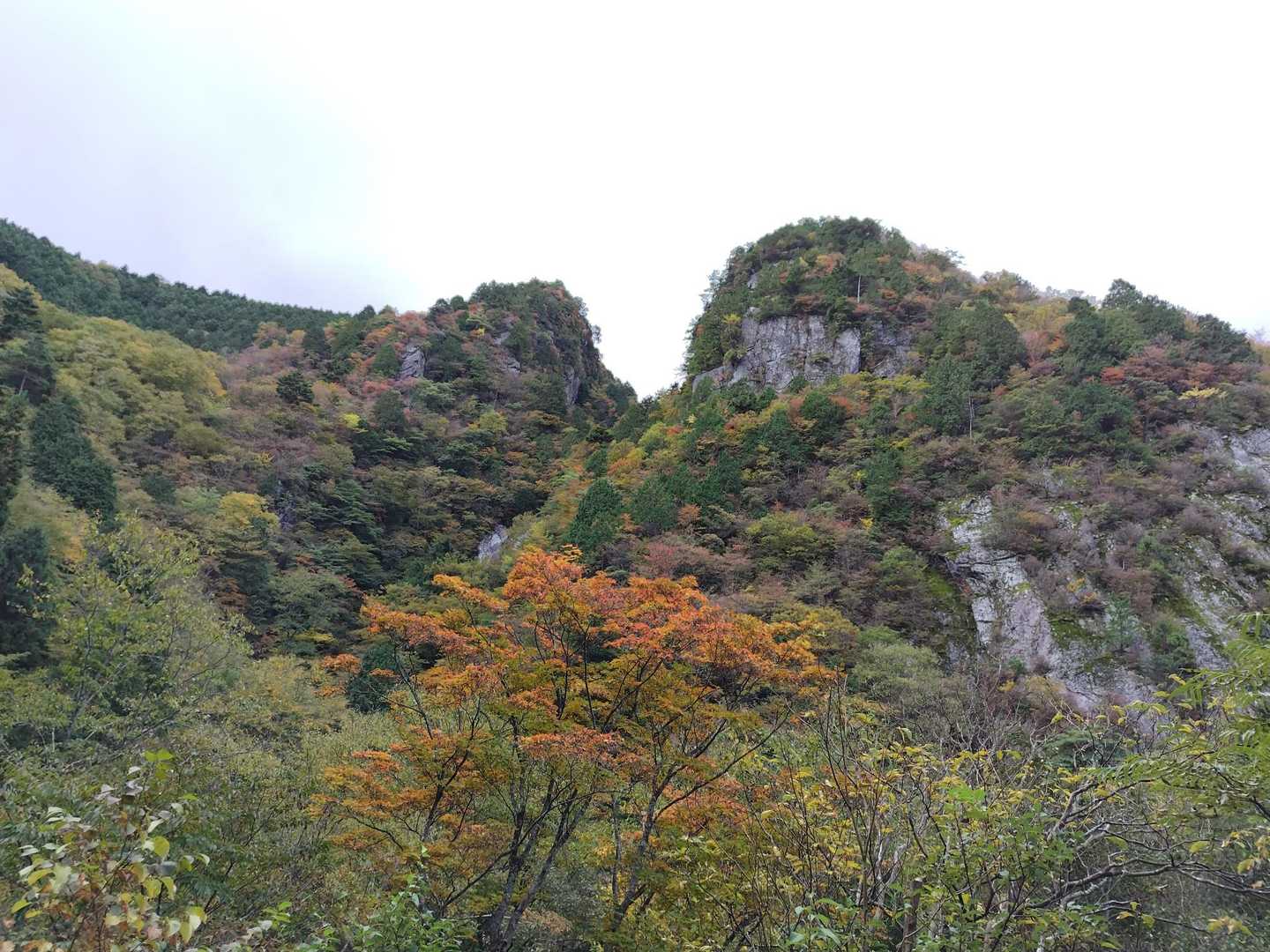 紅葉もいい感じ🍁そのうちガスも晴れるだろうと期待しながら