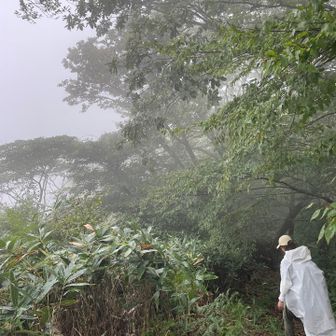 コーヒー飲みたかったけど
急いで下山
