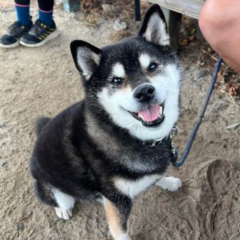 やばい！
可愛い🩷
この笑顔に会いたかったのー。

おやつをくれた人はいい人だ！