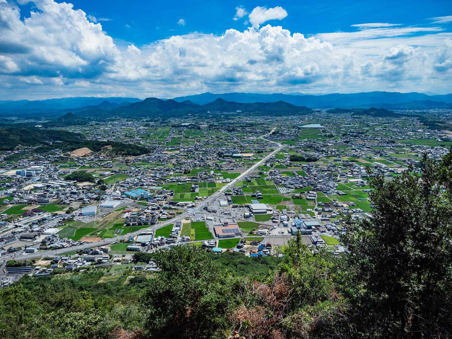 飯野山 往復コースの写真