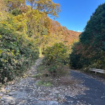 左の山道へ　
登山口の看板は見当たらず
