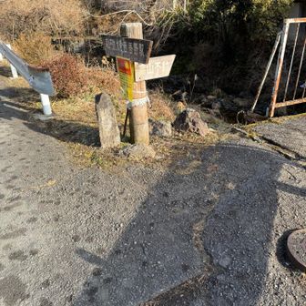 ここから登山道へ