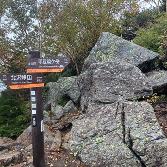 黙々と登って、双児山。
すでに空腹のためここで食べる。
携帯トイレブースの掃除に来た方が爽やかに、かつ颯爽と抜いていく。