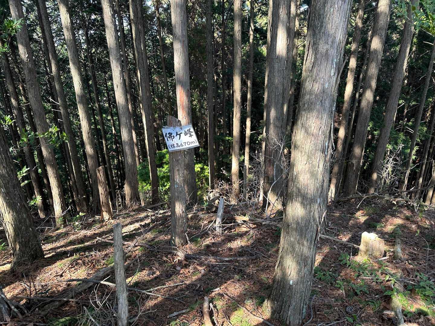 到着、、中々ルートが見つけにくかったですね