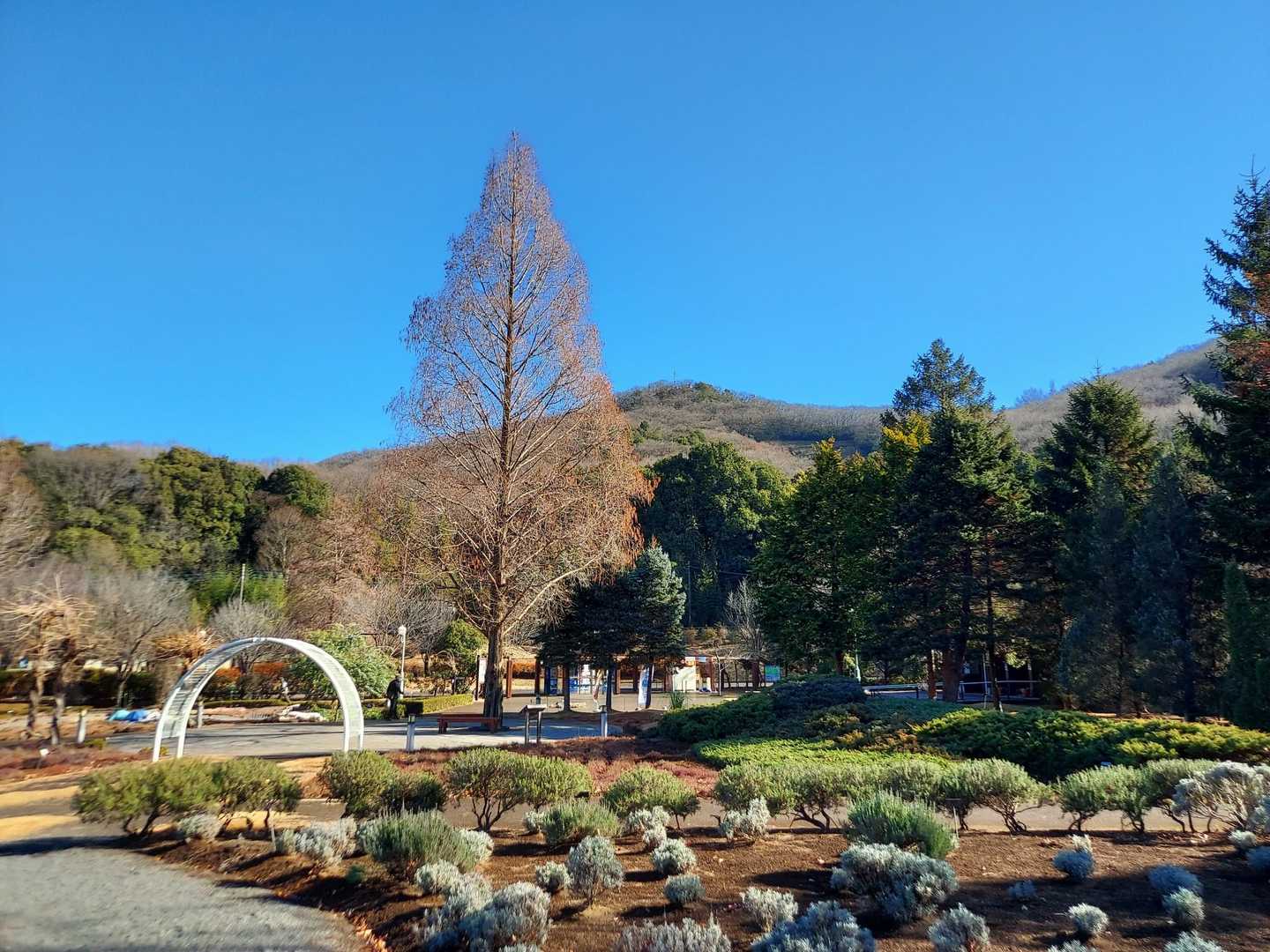 みかも山公園西口登山口-三毳山-中岳 周回コースの写真
