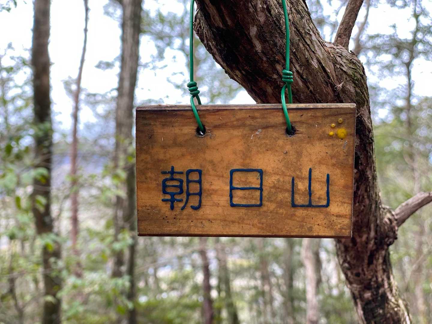 登頂🪧