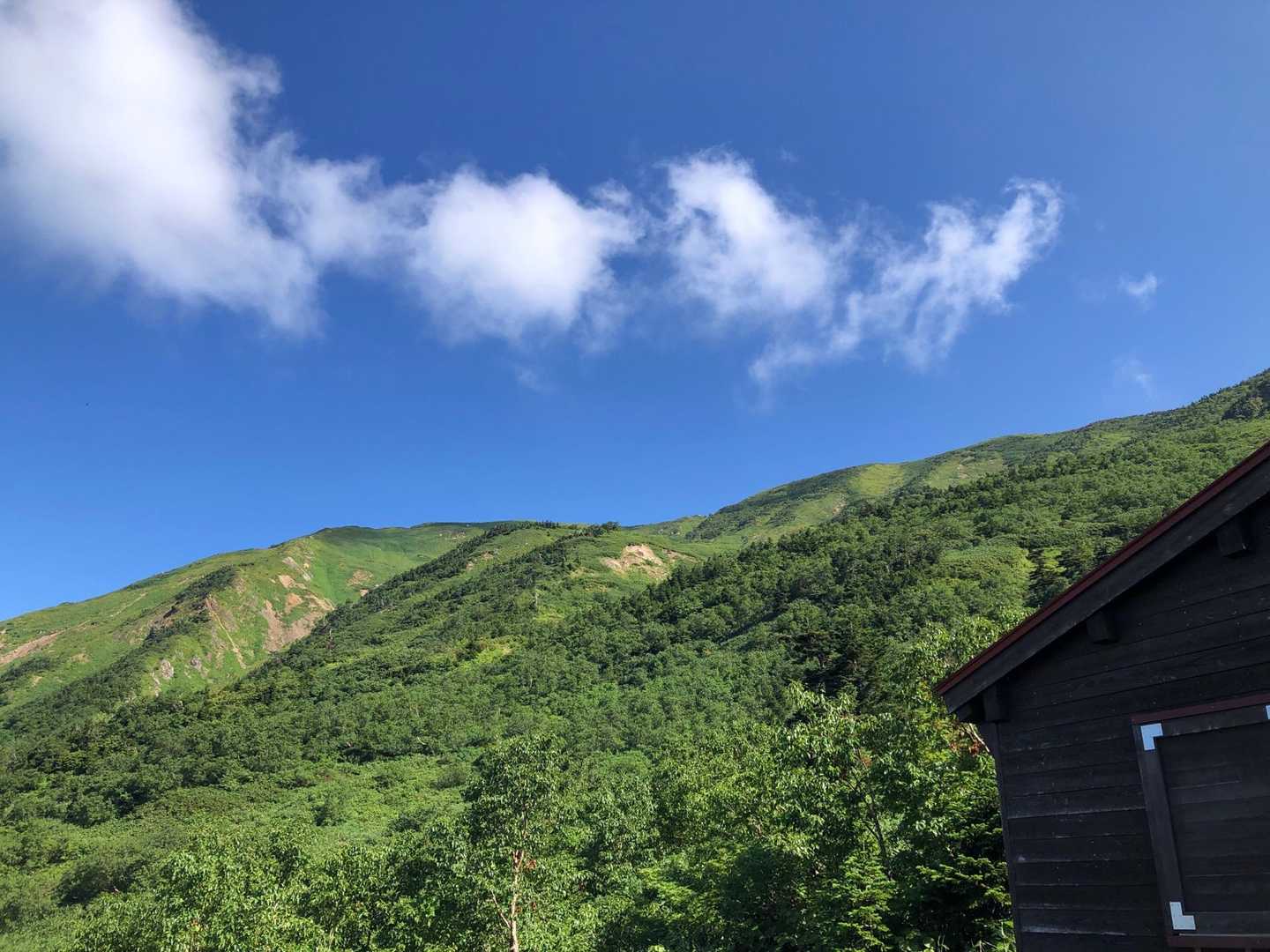 砂防新道コース | 夏には高山植物が咲き乱れる、信仰の歴史を宿す美しき霊山への写真