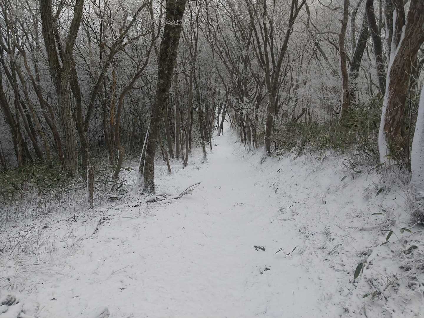 花塚山-北峰 周回コースの写真